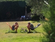 Relax in the garden