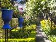 Terrace and garden
