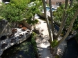 HÔTEL DU POÈTE Fointane de Vaucluse hotel