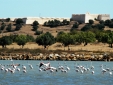 Castro Marim - Nature Reserve and Castle