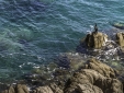 Hotel boutique Sant Roc con encanto en Palafrugell Costa Brava 