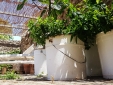 Masseria Uccio hotel b&b tricasa puglia con encanto barato rural con niños bonito