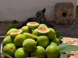 Masseria Uccio hotel b&b tricasa puglia con encanto barato rural con niños bonito