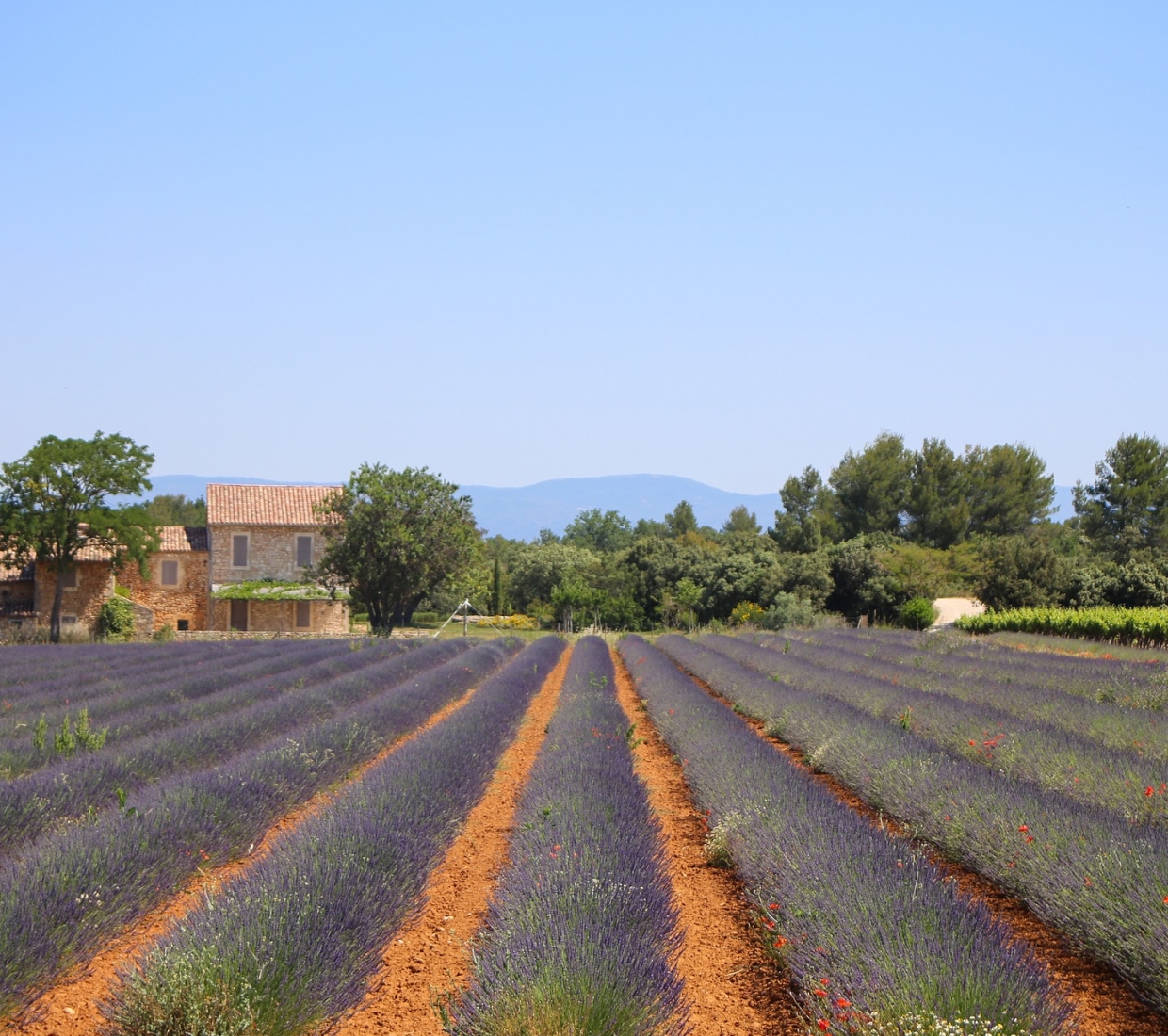 Hermosa selección de alojamientos con encanto en Alpes de Haute Provence
