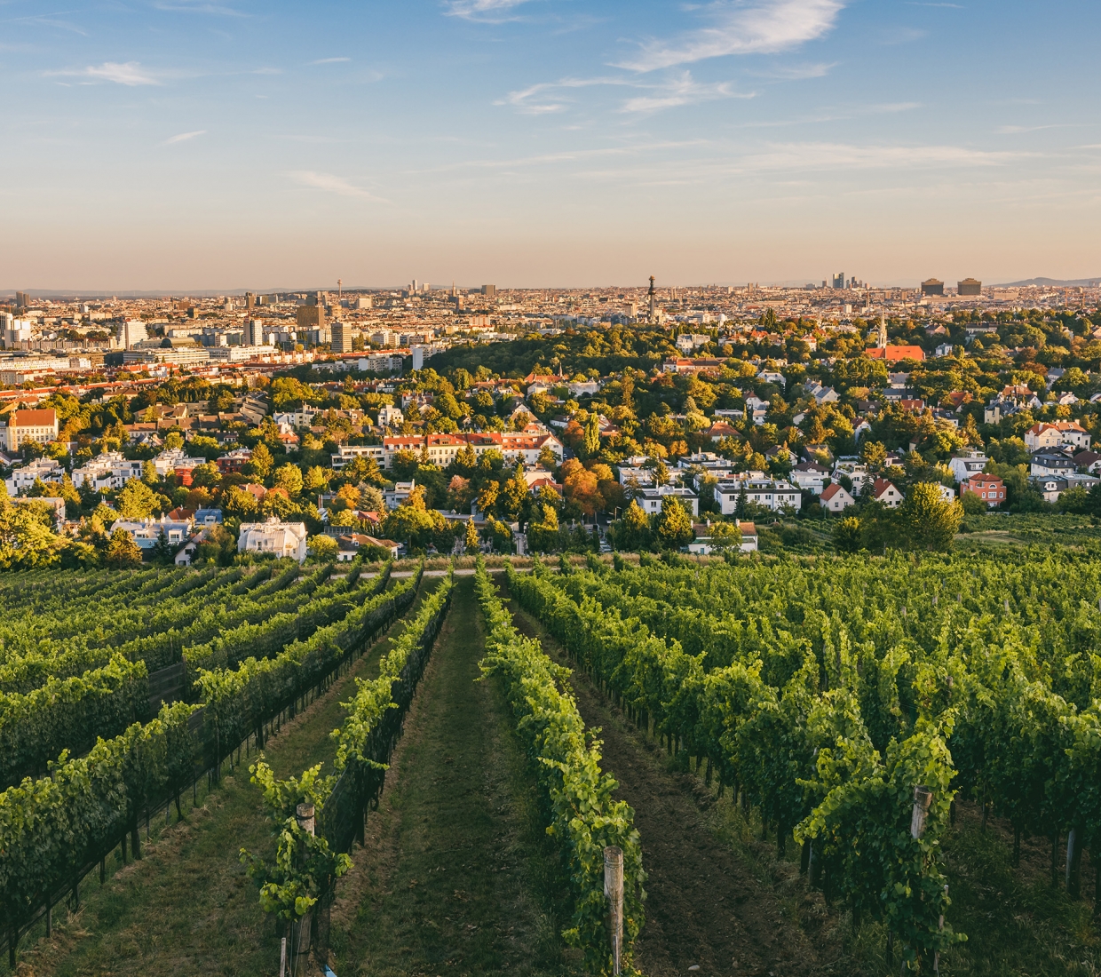 Hermosa selección de alojamientos con encanto en Viena