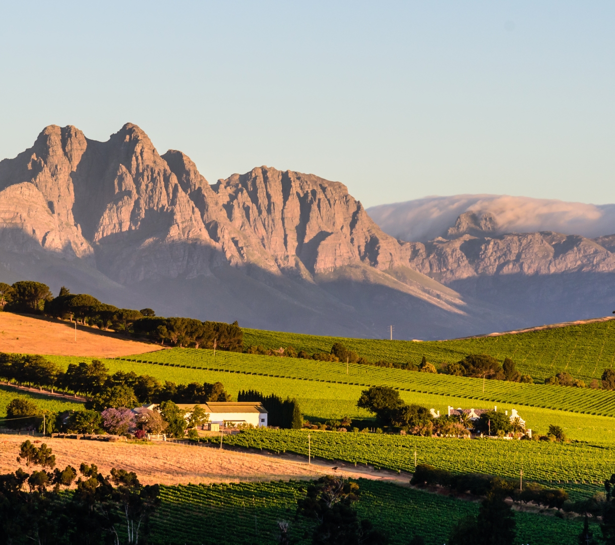 Hermosa selección de alojamientos con encanto en Cape Winelands