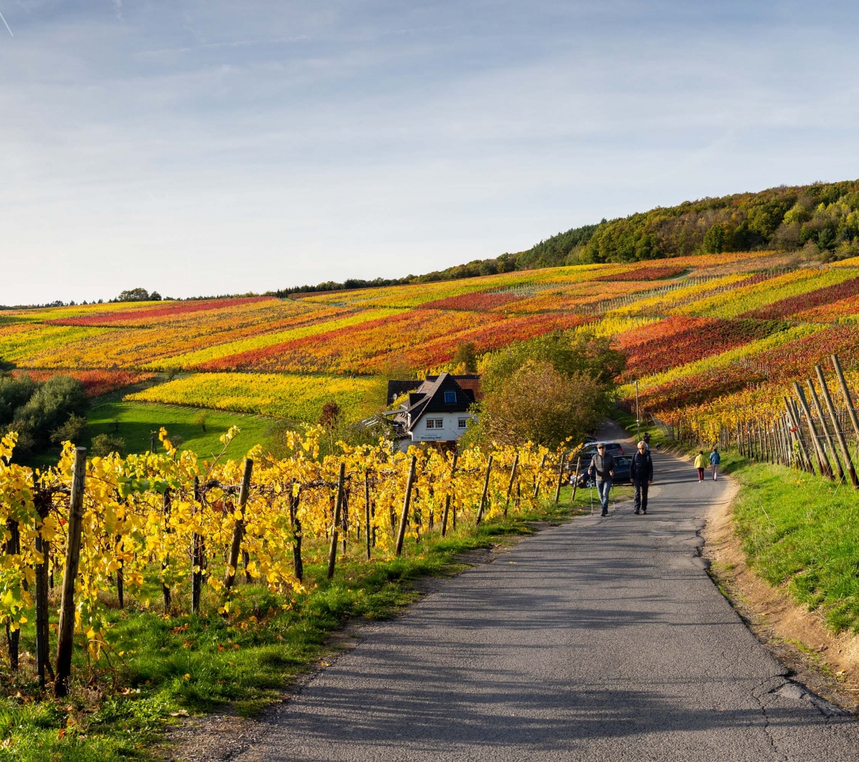 Hoteles con encanto, escapadas románticas y casas rurales Rhineland-Palatinate