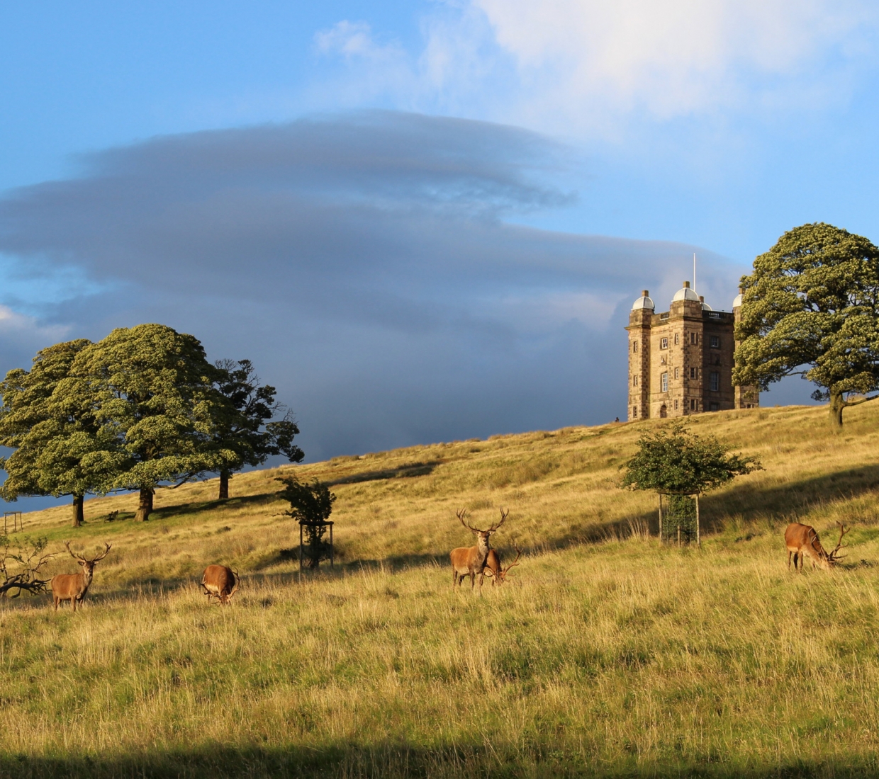 Hoteles con encanto, escapadas románticas y casas rurales Cheshire