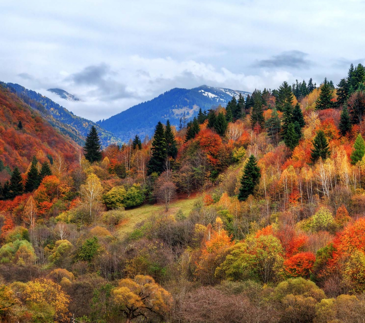 Centro Norte Bulgaria