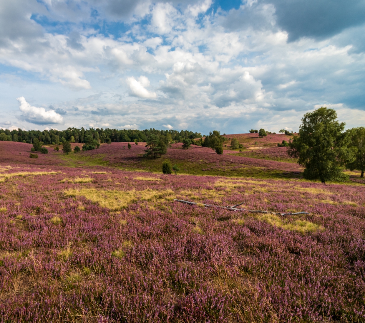 Hoteles con encanto, escapadas románticas y casas rurales Niedersachsen