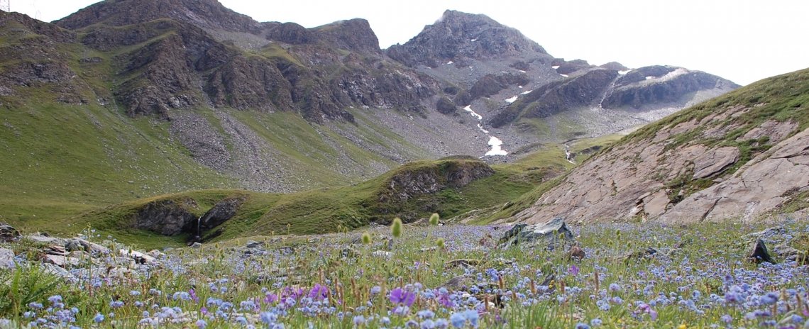 Hoteles con encanto, escapadas románticas y casas rurales Val d'Aosta