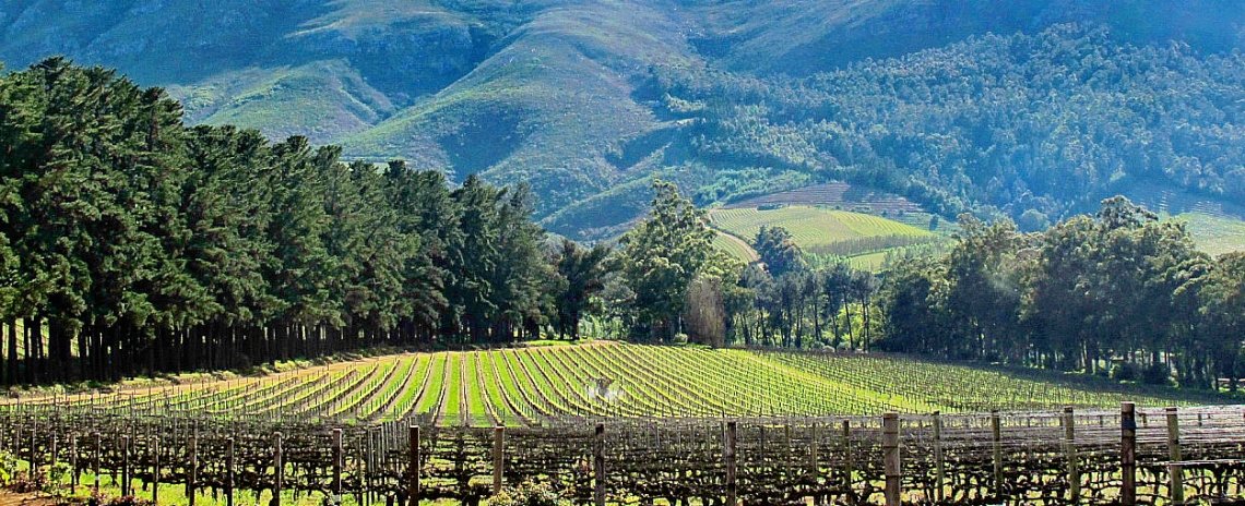 Hermosa selección de alojamientos con encanto en Cape Winelands