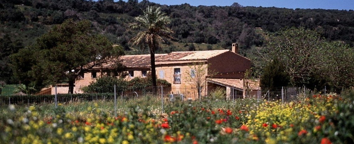 Finca Es Mayolet