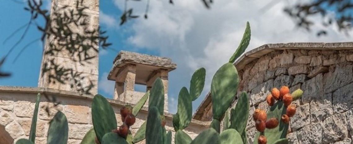 Villa Cavallerizza