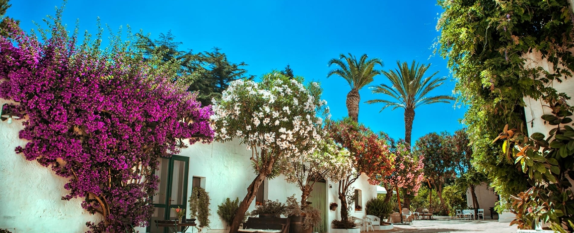 Masseria Il Frantoio