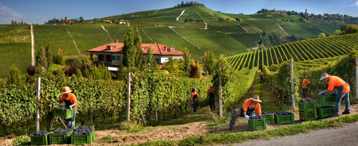 Cascina Barac