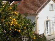 Lemon House Estoril