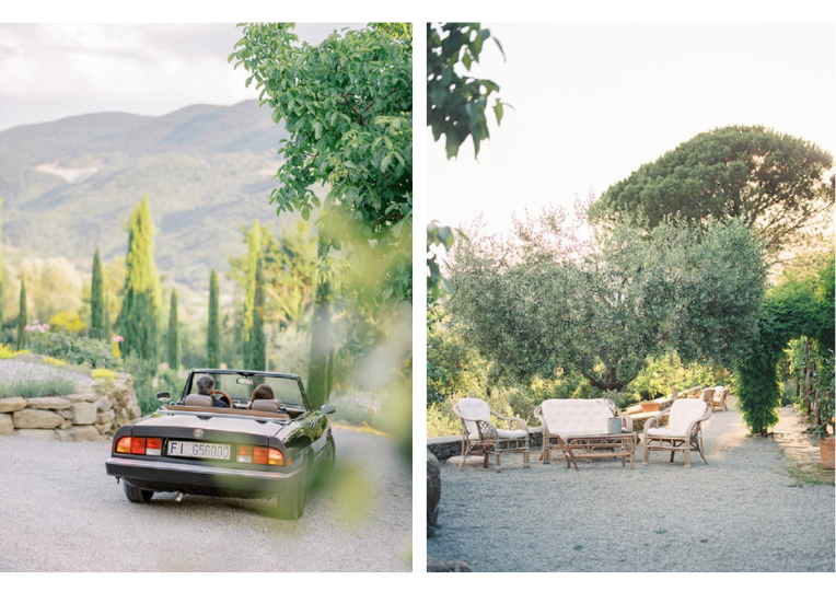 Impressions of green landscape