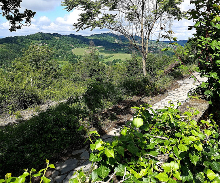 Green landscape surrounding the b&b